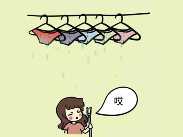 內(nèi)衣干衣機 內(nèi)衣干衣機