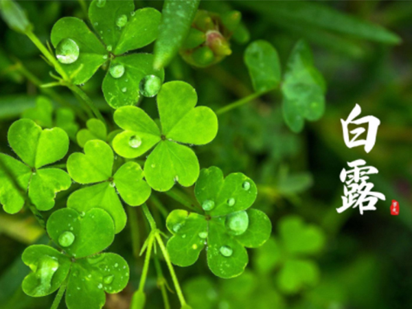 金環(huán)電器 金環(huán)電器