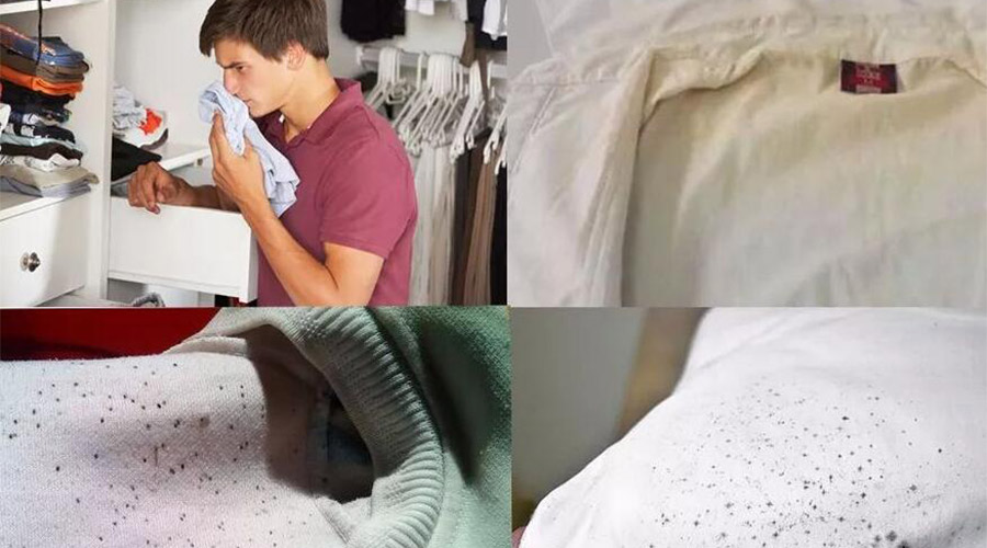 衣服護(hù)理小常識：潮濕天衣物有霉味不宜穿  該怎么辦？