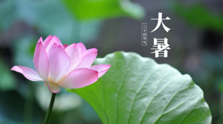 大暑時節(jié)！金環(huán)電器提醒大家注意這些干衣細節(jié)