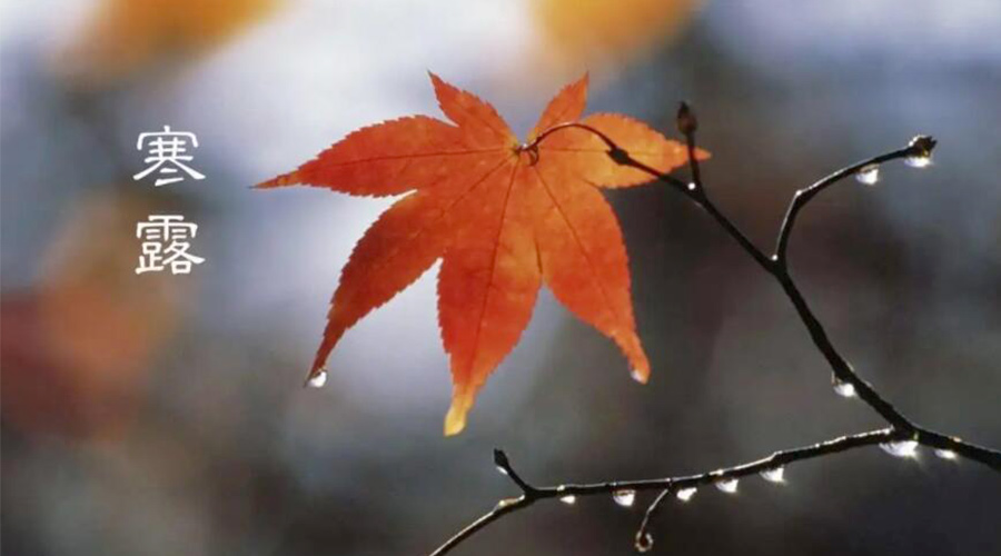 寒露時(shí)節(jié)！金環(huán)電器提醒大家要注意的事項(xiàng)