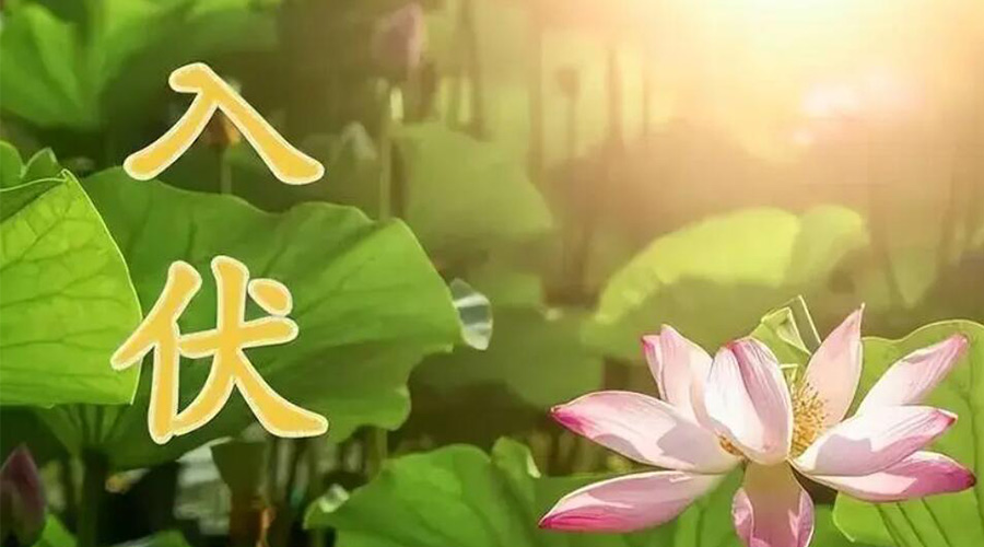 入伏天來(lái)襲！金環(huán)電器提醒大家要注意的事項(xiàng)