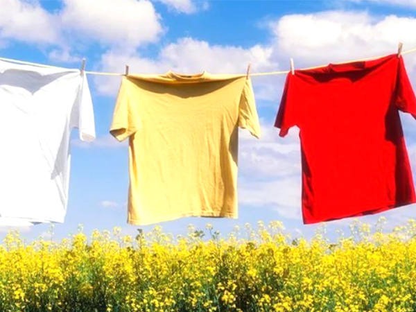 金環(huán)電器 金環(huán)電器