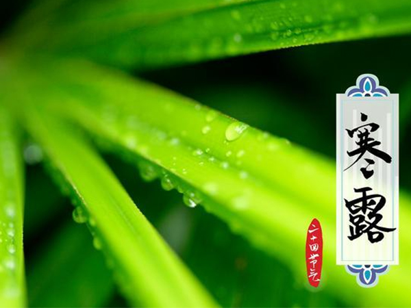 金環(huán)電器 金環(huán)電器