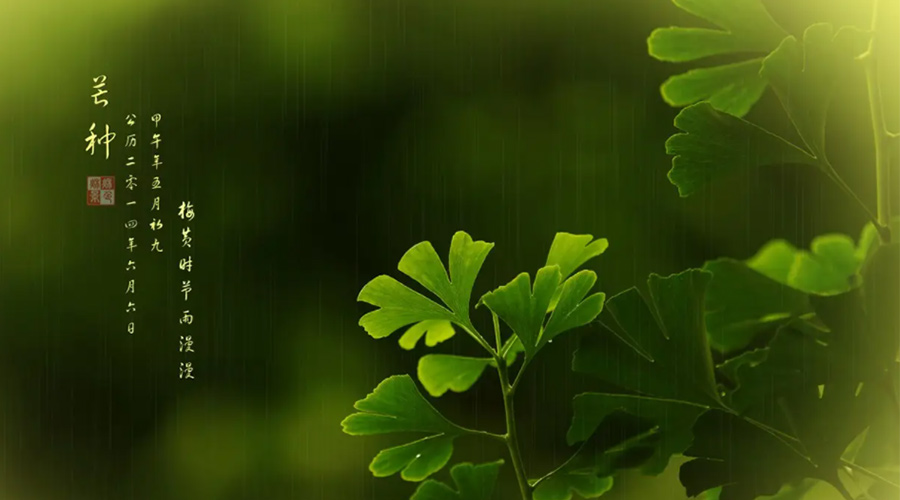 芒種時(shí)節(jié)！金環(huán)電器提醒大家的注意事項(xiàng)