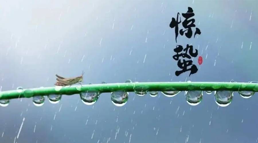 驚蟄時(shí)節(jié)！金環(huán)電器提醒大家干衣要注意這些