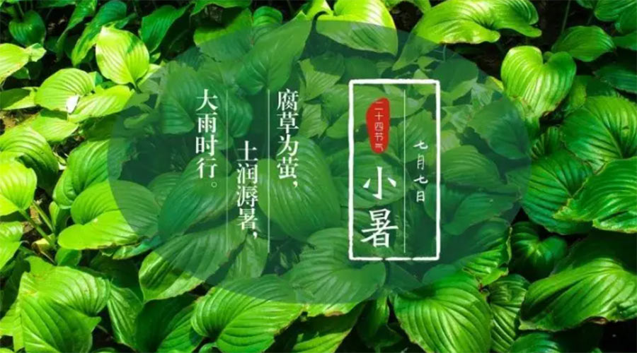 小暑時(shí)節(jié)來(lái)到！金環(huán)電器提醒大家要注意的事項(xiàng)