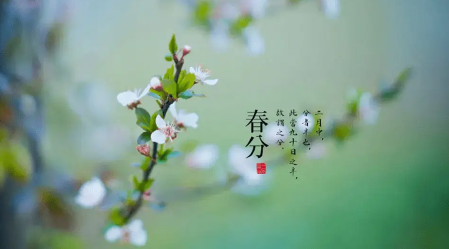 春分雨水多易生菌！金環(huán)電器提醒你衣物要注意處理