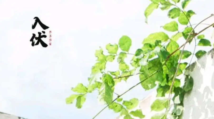 初伏時(shí)節(jié)！金環(huán)電器提醒大家要注意的事項(xiàng)