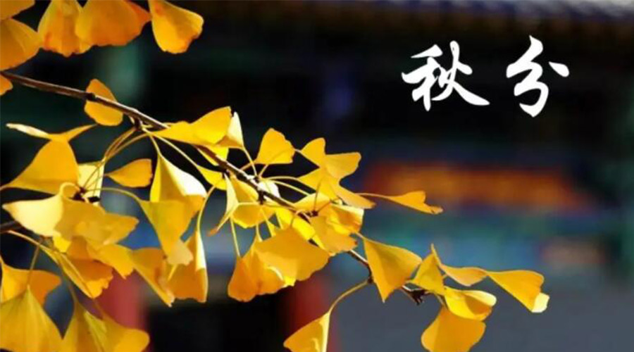 秋分時節(jié)！金環(huán)電器提醒大家要注意的事項