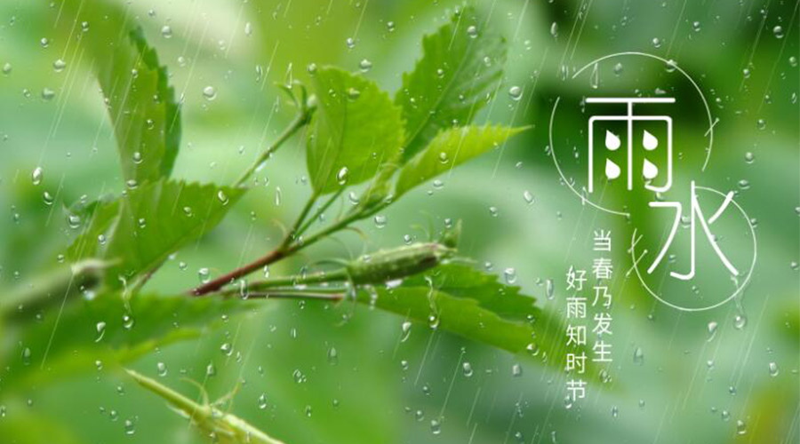 雨水時(shí)節(jié)！金環(huán)電器提醒大家要注意的事項(xiàng)