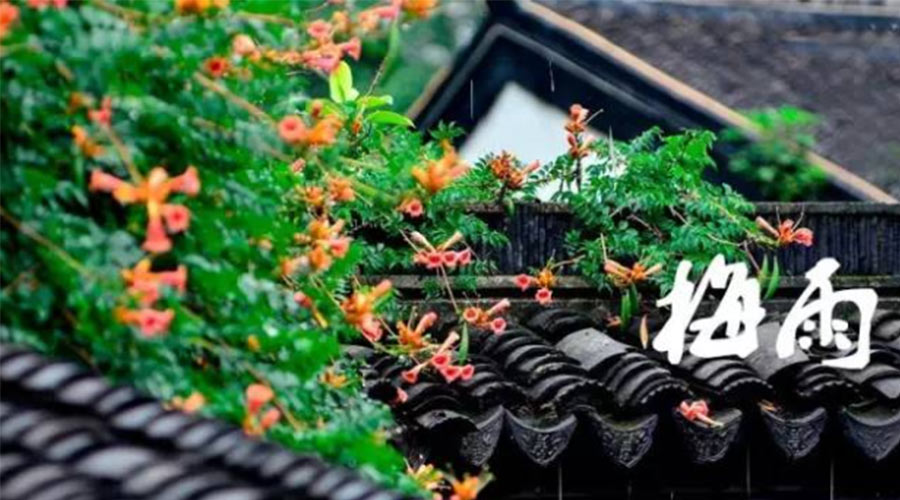 什么是梅雨？梅雨如何形成？  金環(huán)電器告訴你答案