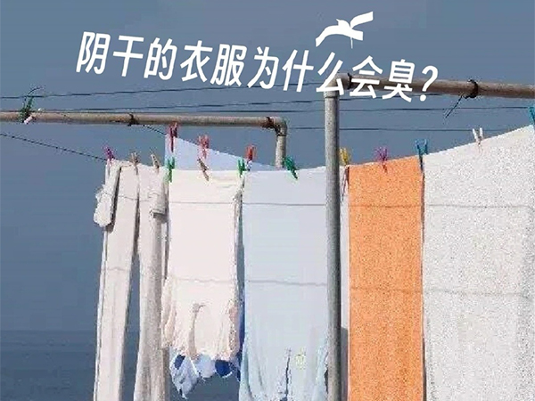 衣物護理機廠家 衣物護理機廠家